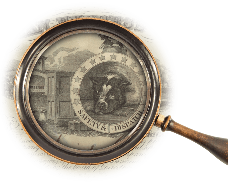 Magnifying glass over logo of a bulldog encircled in stars and the motto "Safety & Dispatch" with cargo boxes behind